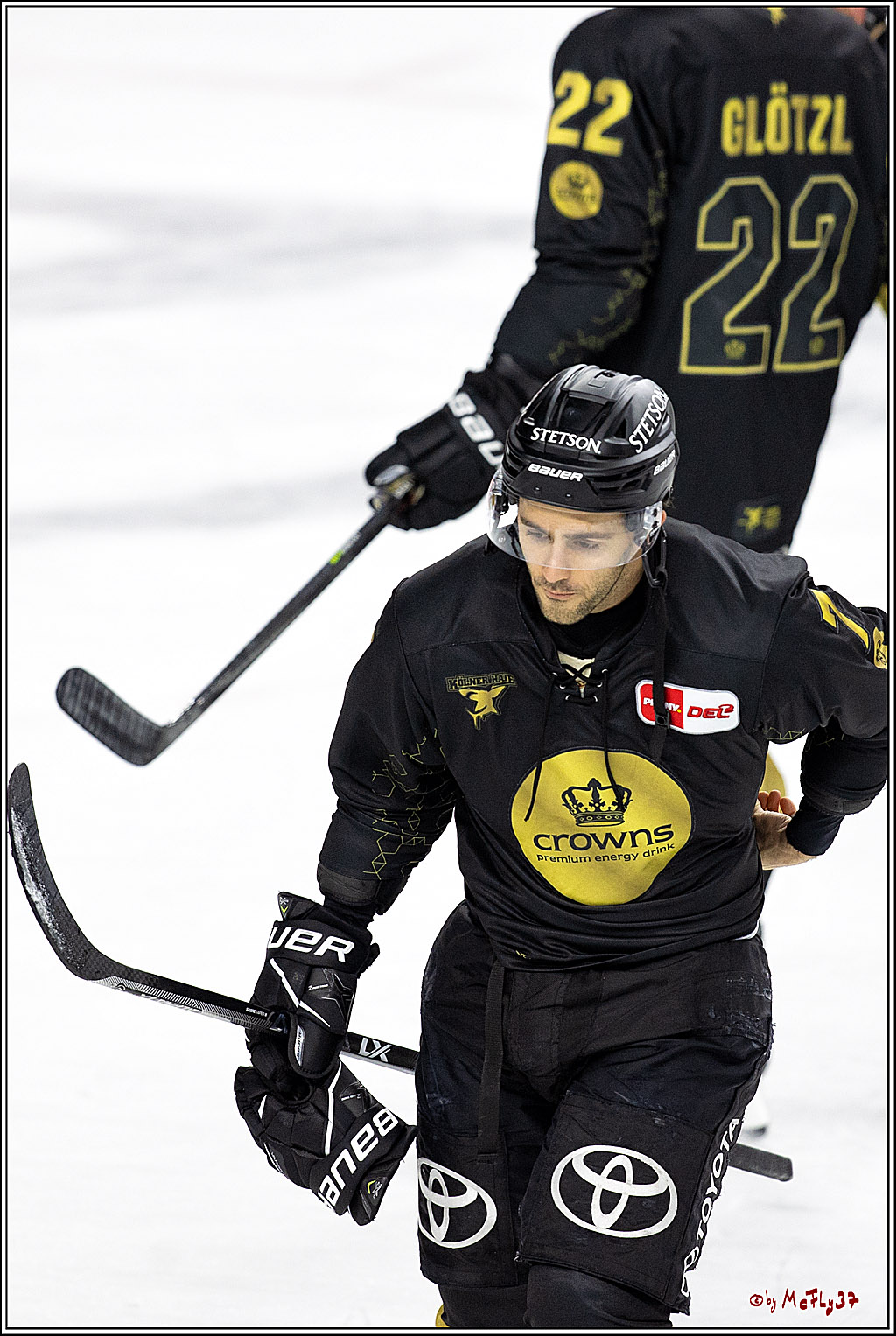 PENNY DEL;  Kölner Haie - ERC Ingolstadt; Köln, 25.11.2022
